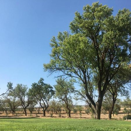 Finca El Relax Colmenar de Oreja Ngoại thất bức ảnh
