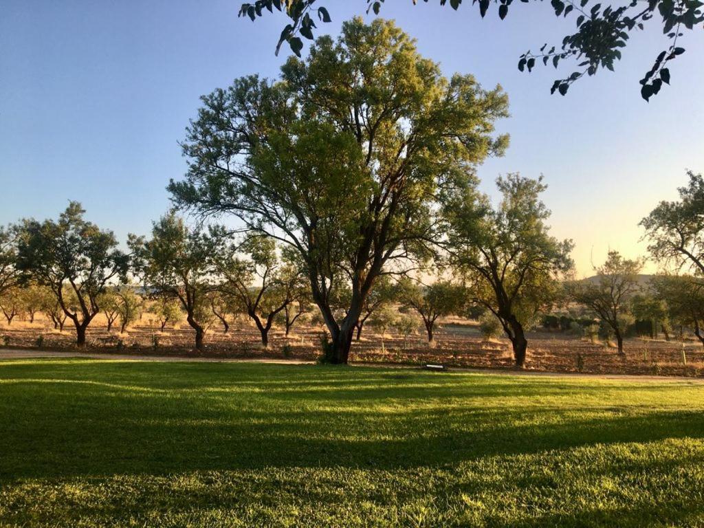 Finca El Relax Colmenar de Oreja Ngoại thất bức ảnh