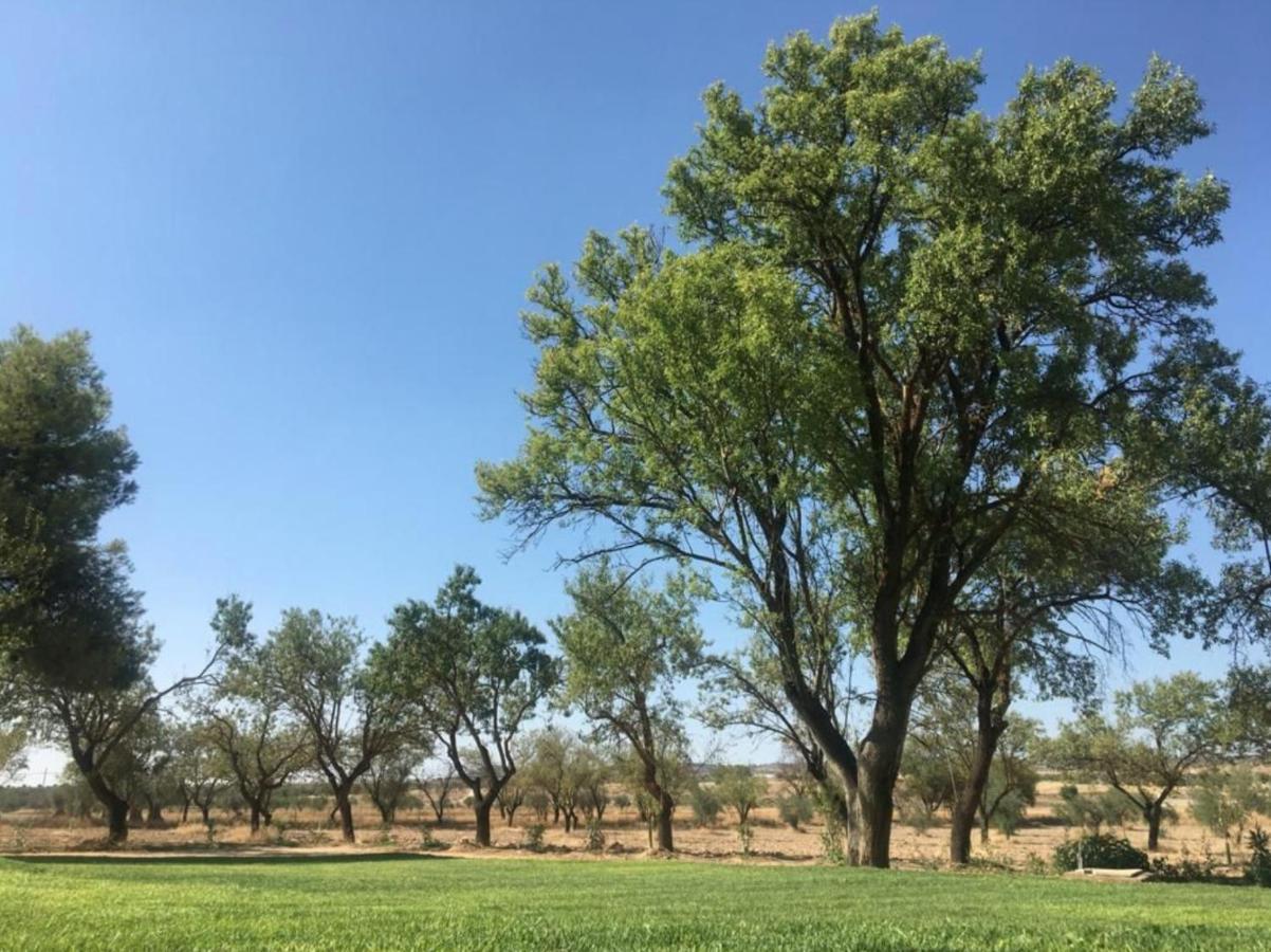 Finca El Relax Colmenar de Oreja Ngoại thất bức ảnh